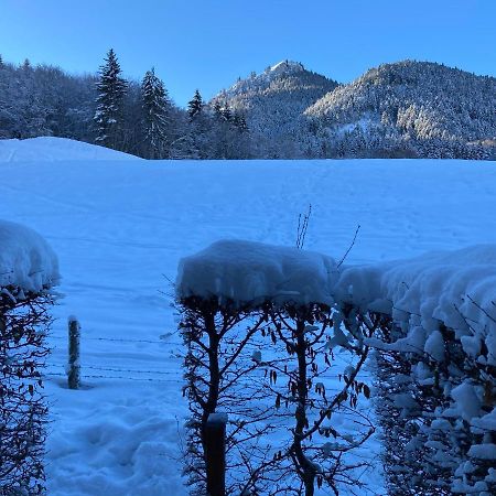 Appartement 2 Pieces Pieds Des Pistes Terrasse Face A La Montagne Bernex Dış mekan fotoğraf