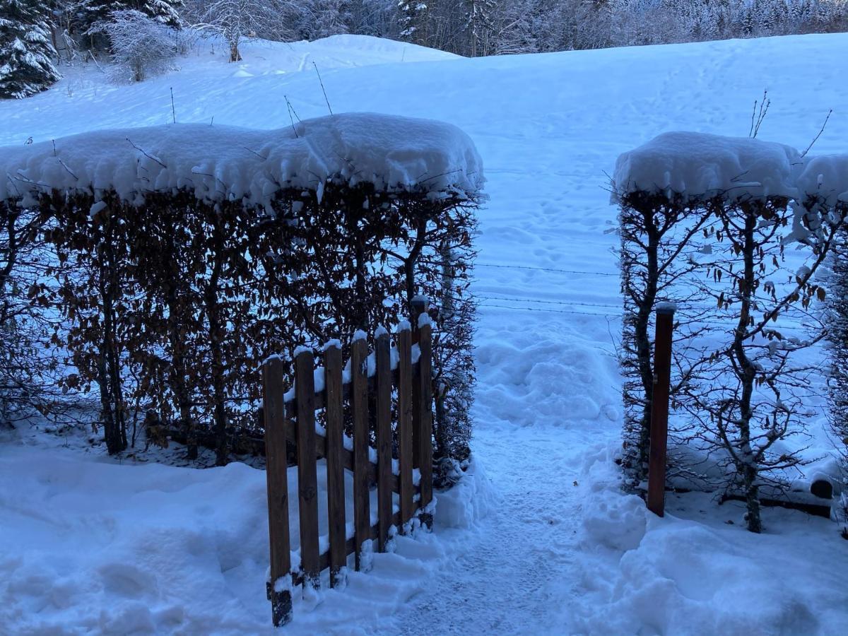 Appartement 2 Pieces Pieds Des Pistes Terrasse Face A La Montagne Bernex Dış mekan fotoğraf